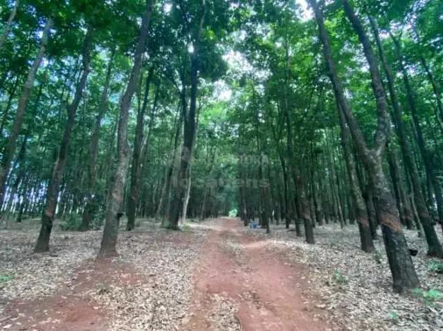 Fazenda venda em Região Geográfica Imediata de Curitiba, Região Metropolitana de Curitiba