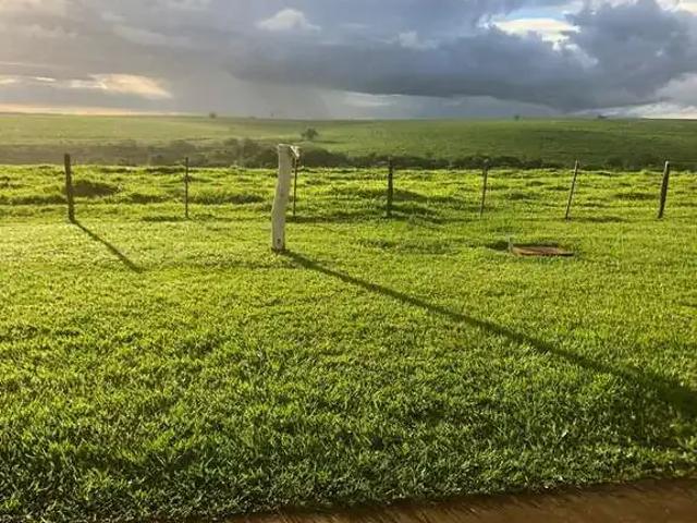 Fazenda venda em Região Imediata de Marília, Pompéia