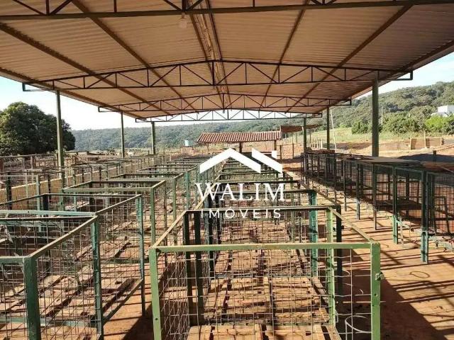 Fazenda venda em Região Geográfica Imediata de Dores do Indaiá, Pompéu