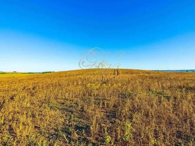 Fazenda venda em Região Geográfica Imediata de Ponta Grossa, Ponta Grossa