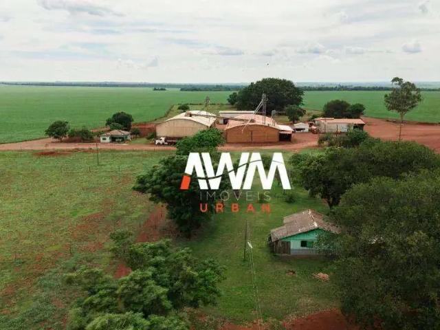 Fazenda venda em Região Geográfica Imediata de Ponta Porã, Ponta Porã