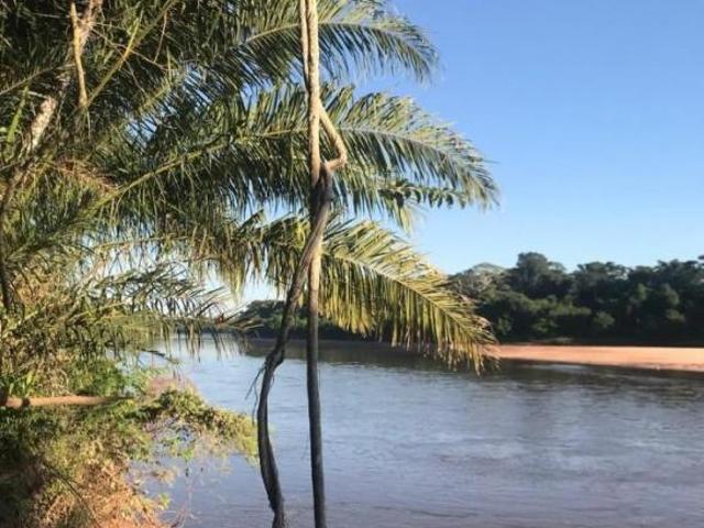 Sítio e chácara venda em Região Geográfica Imediata de Barra do Garças, Pontal do Araguaia