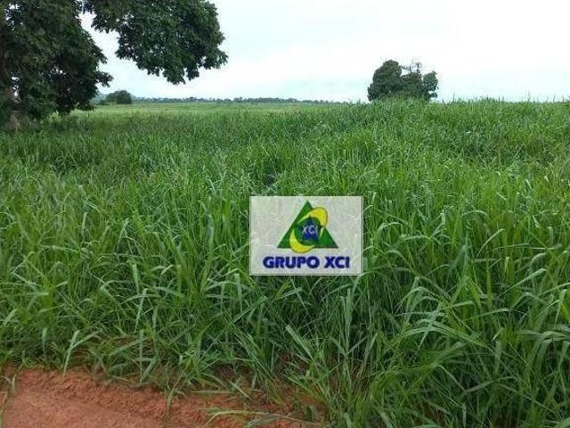Sítio e chácara venda em Região Geográfica Imediata de Barra do Garças, Pontal do Araguaia