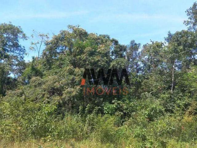 Fazenda venda em Região Geográfica Imediata de Barra do Garças, Pontal do Araguaia
