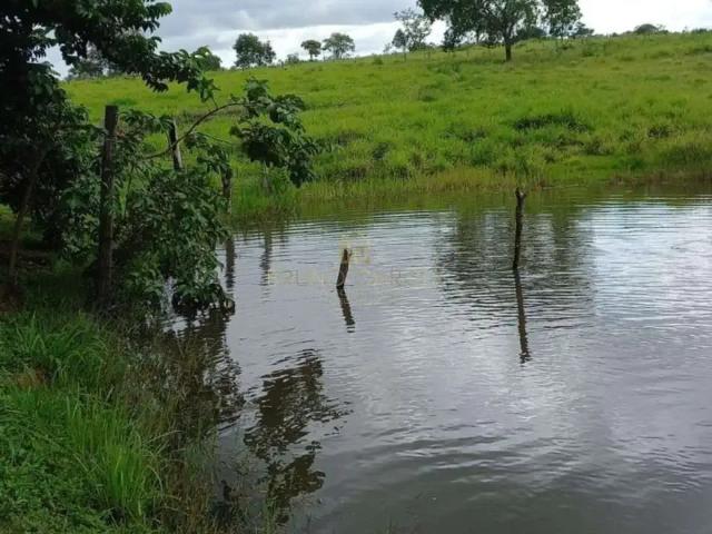 Fazenda venda em Região Geográfica Imediata de Barra do Garças, Pontal do Araguaia