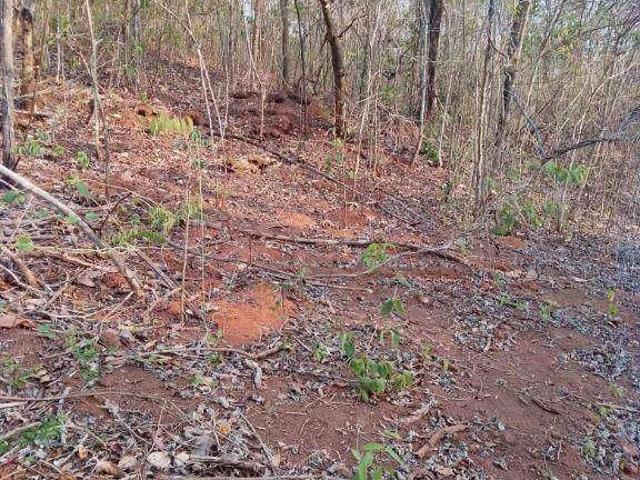 Fazenda venda em Pontal do Araguaia, Região Geográfica Intermediária de Barra do Garças