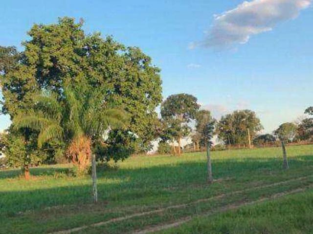 Fazenda venda em Pontal do Araguaia, Região Geográfica Intermediária de Barra do Garças
