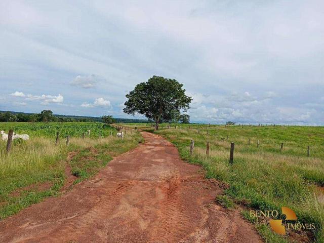 Fazenda venda em Pontal do Araguaia, Região Geográfica Intermediária de Barra do Garças
