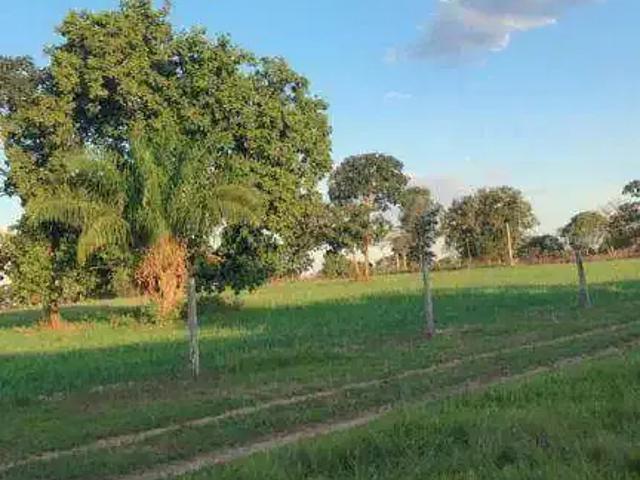 Fazenda venda em Região Geográfica Imediata de Barra do Garças, Pontal do Araguaia