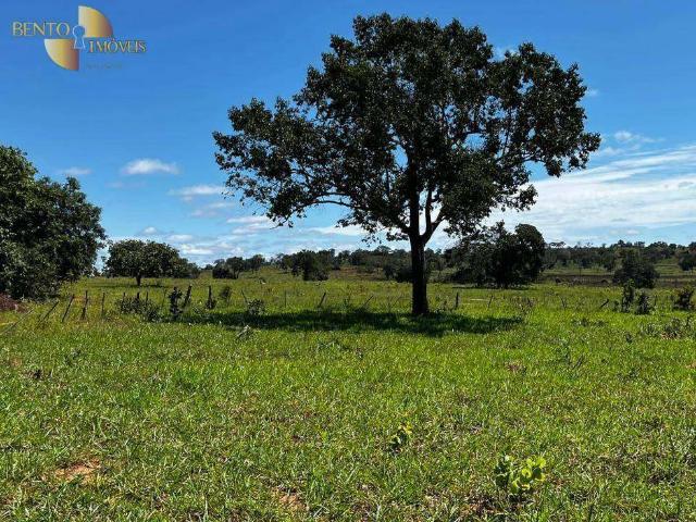 Fazenda venda em Pontal do Araguaia, Região Geográfica Intermediária de Barra do Garças