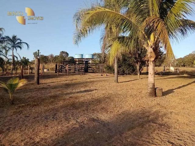 Fazenda venda em Região Geográfica Imediata de Barra do Garças, Pontal do Araguaia