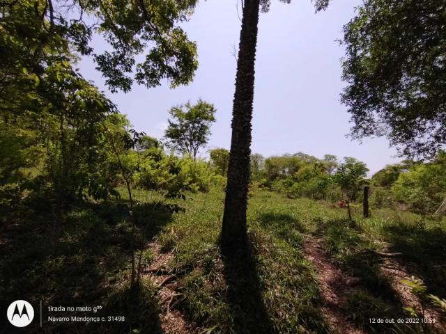 Fazenda venda em Região Geográfica Imediata de Piracanjuba, Pontalina