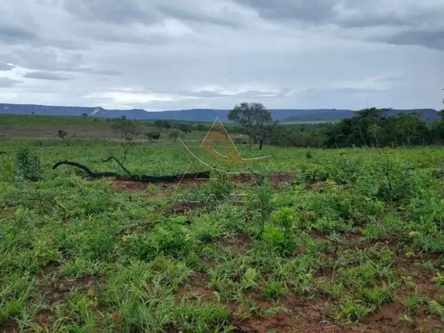 Fazenda venda em Região Geográfica Imediata de Dianópolis, Ponte Alta do Bom Jesus