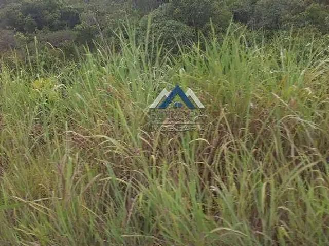 Fazenda venda em Região Geográfica Imediata de Dianópolis, Ponte Alta do Bom Jesus