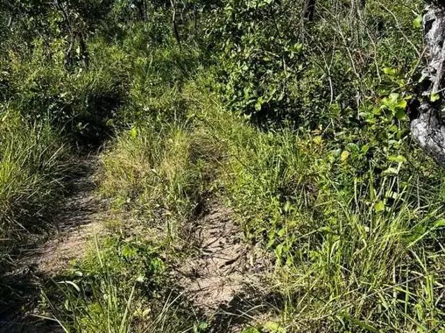 Fazenda venda em Região Geográfica Imediata de Porto Nacional, Ponte Alta do Tocantins
