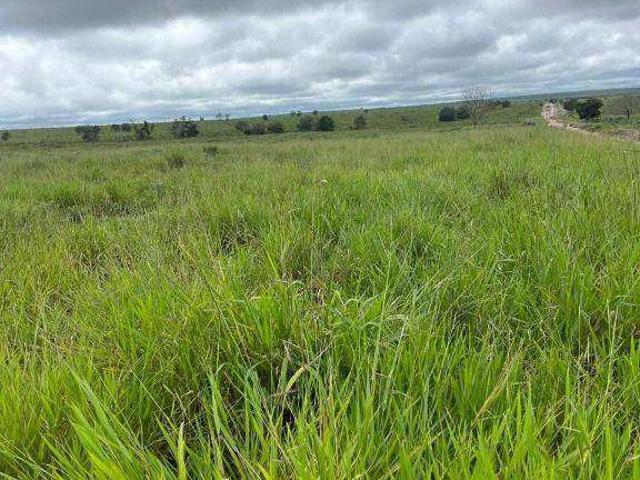 Fazenda venda em São João da Boa Vista