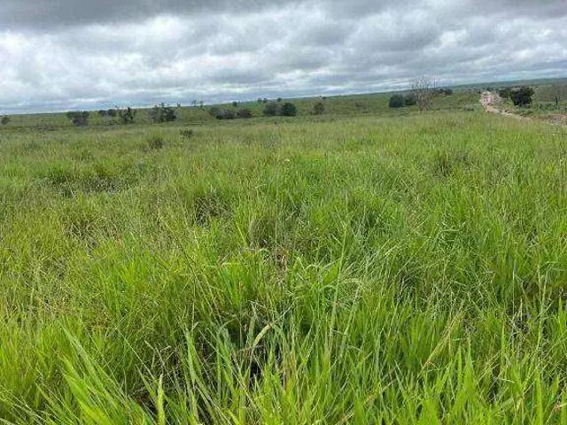 Fazenda venda em Região Imediata de São João da Boa Vista, São João da Boa Vista