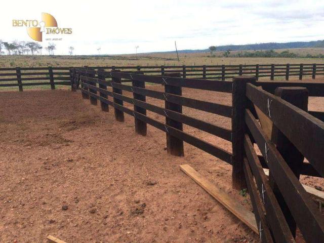 Fazenda venda em Santa Fé, Pontes e Lacerda