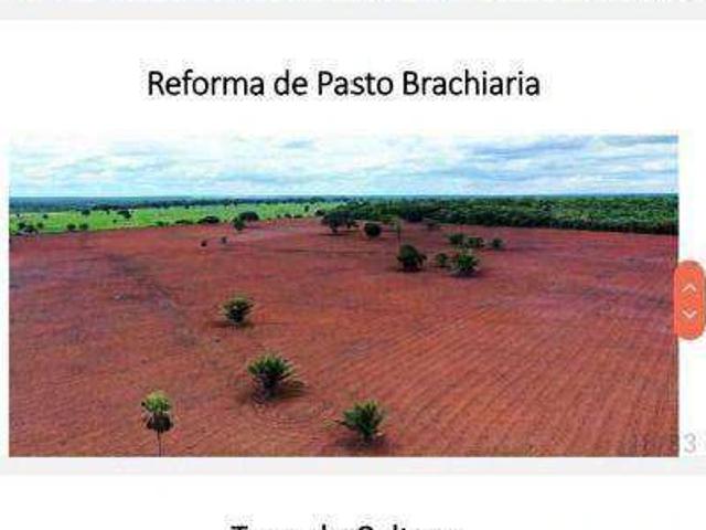 Fazenda venda em Santa Fé, Pontes e Lacerda