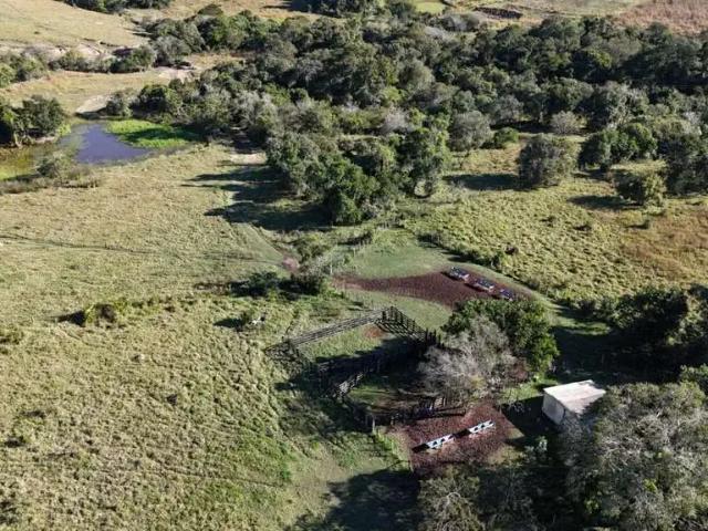 Fazenda venda em Vila Piragibu, Porangaba