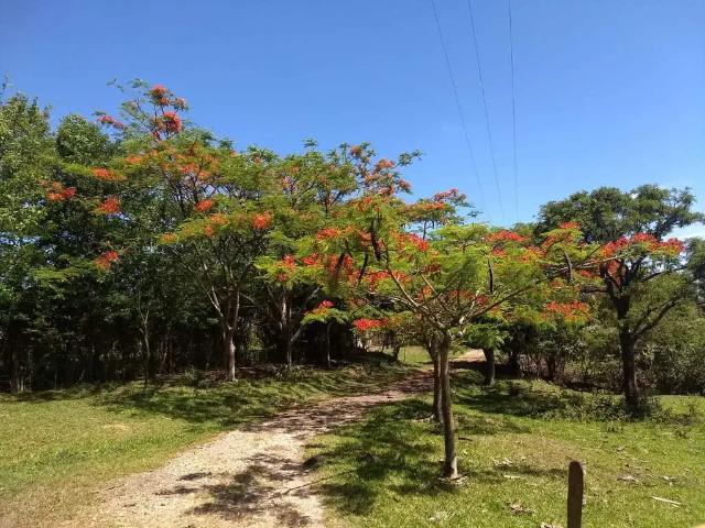 Fazenda venda em Região Imediata de Tatuí, Porangaba