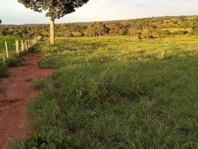 Sítio e chácara venda em Região Geográfica Imediata de Porangatu, Porangatu