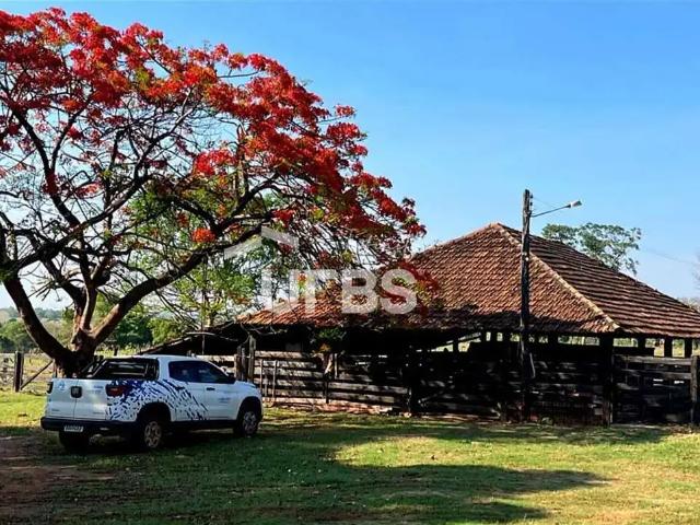 Fazenda venda em Região Geográfica Imediata de Porangatu, Porangatu