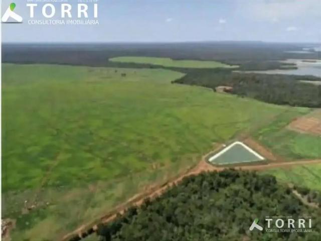 Fazenda venda em Região Geográfica Imediata de Porangatu, Porangatu
