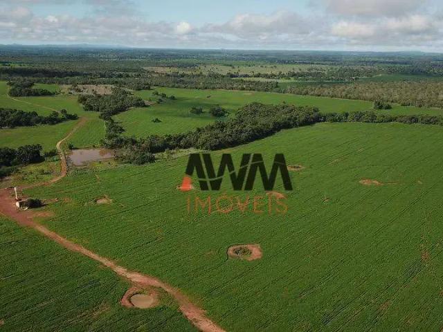 Fazenda venda em Região Geográfica Imediata de Porangatu, Porangatu