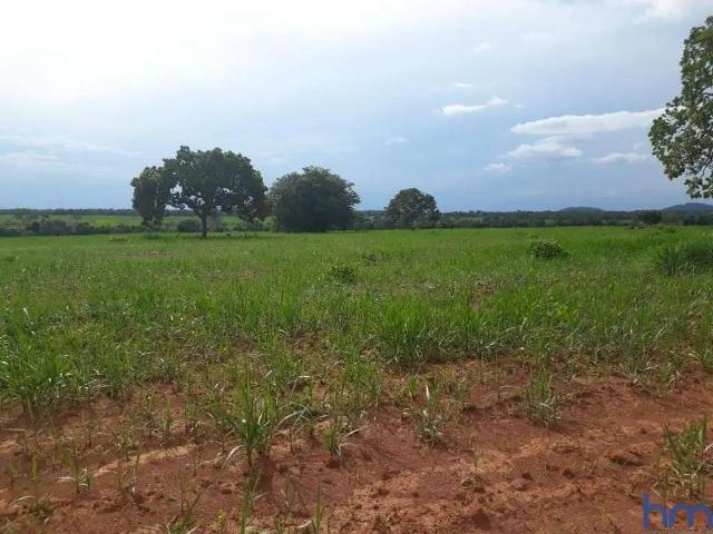 Fazenda venda em Região Geográfica Imediata de Porangatu, Porangatu