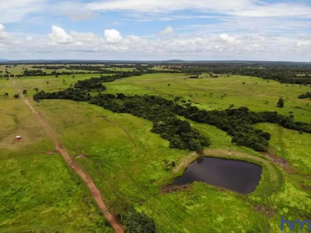 Fazenda venda em Região Geográfica Imediata de Porangatu, Porangatu