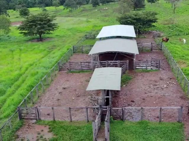 Fazenda venda em Região Geográfica Imediata de Porangatu, Porangatu