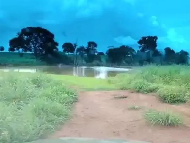Fazenda venda em Região Geográfica Imediata de Porangatu, Porangatu