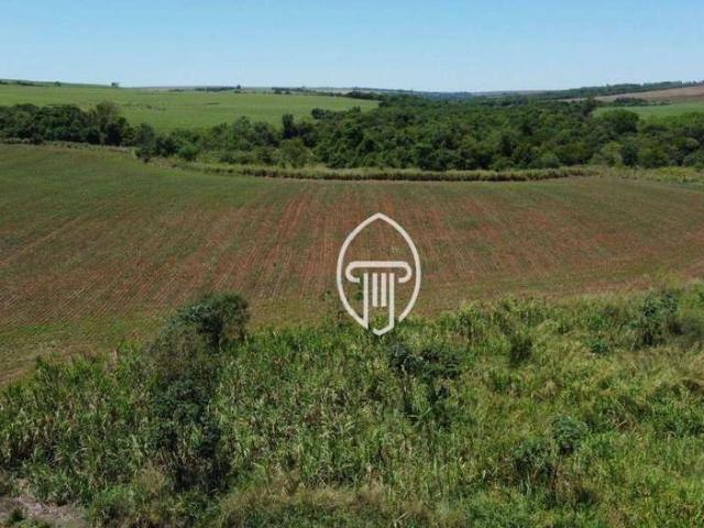 Fazenda venda em Região Geográfica Imediata de Londrina, Porecatu