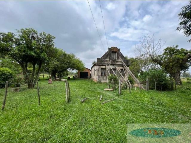 Fazenda venda em Portão