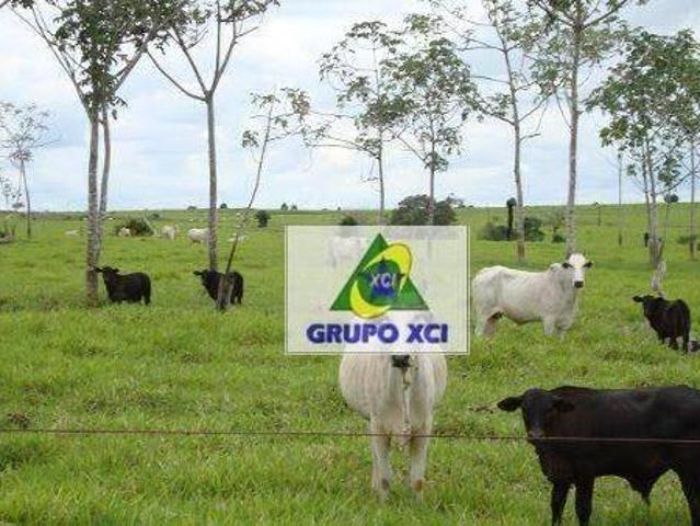 Sítio e chácara venda em Região Geográfica Imediata de Confresa - Vila Rica, Porto Alegre do Norte