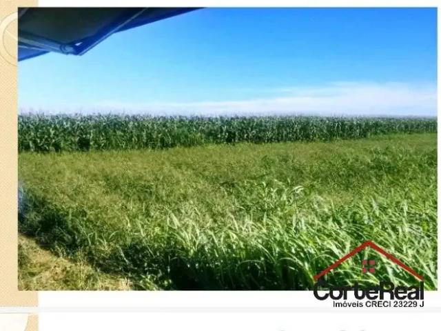 Fazenda venda em Região Geográfica Imediata de Confresa - Vila Rica, Porto Alegre do Norte