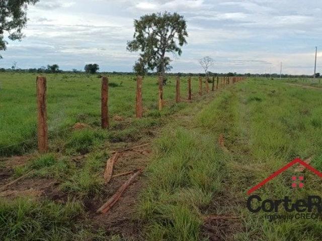 Fazenda venda em Centro, Porto Alegre do Norte