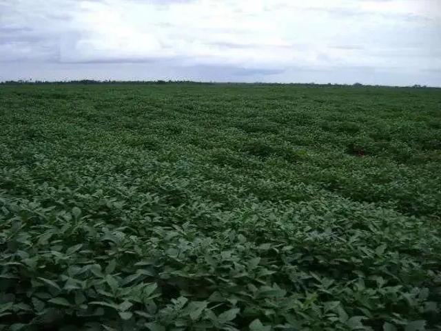 Fazenda venda em Região Geográfica Imediata de Confresa - Vila Rica, Porto Alegre do Norte