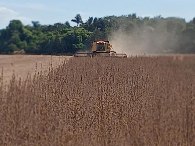 Fazenda venda em Centro, Porto Alegre do Norte