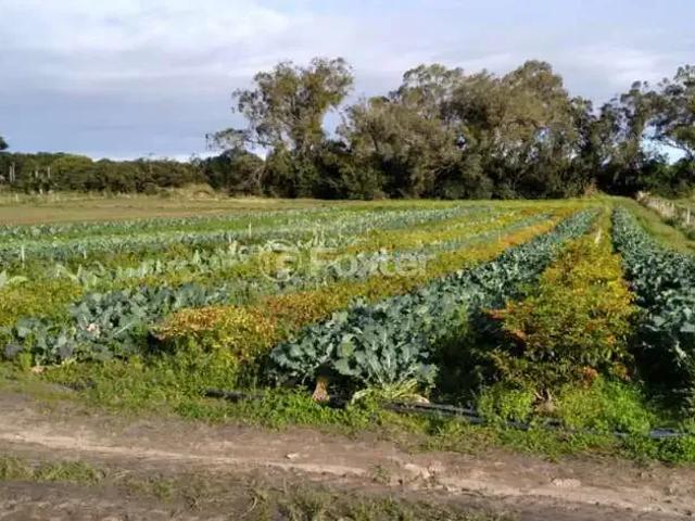Fazenda venda em Região Geográfica Imediata de Porto Alegre, Região Metropolitana de Porto Alegre