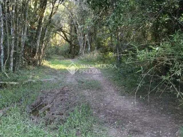 Fazenda venda em Região Geográfica Imediata de Porto Alegre, Região Metropolitana de Porto Alegre