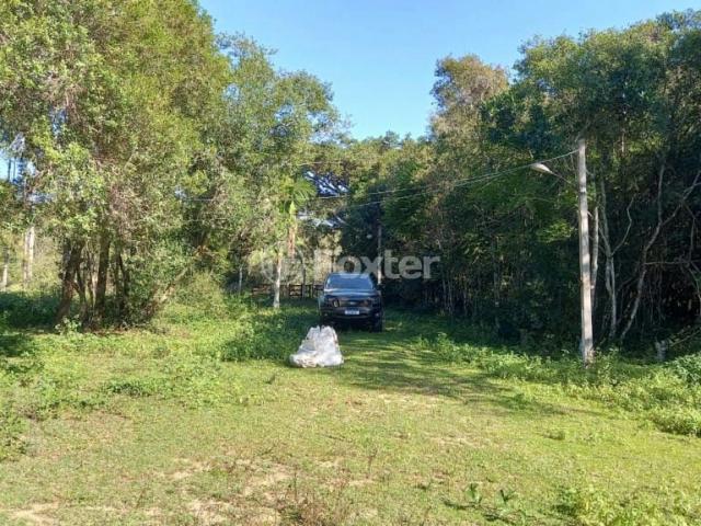 Fazenda venda em Boa Vista do Sul, Porto Alegre