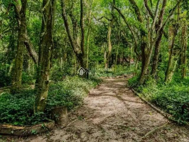 Fazenda venda em Ponta Grossa, Porto Alegre