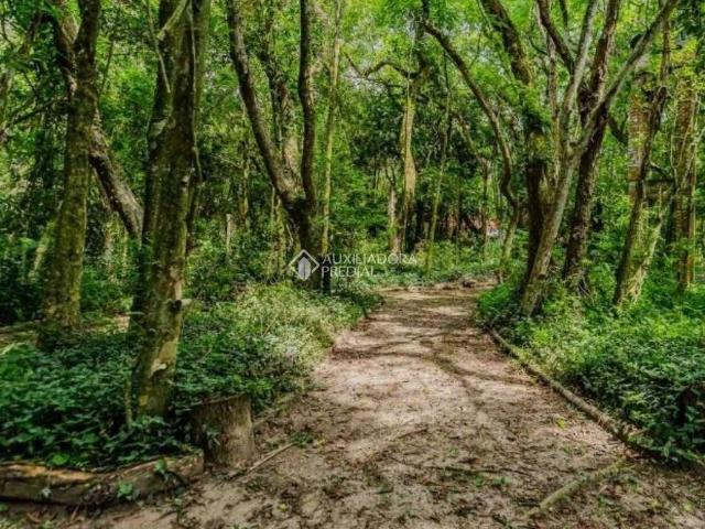 Fazenda venda em Região Geográfica Imediata de Porto Alegre, Região Metropolitana de Porto Alegre