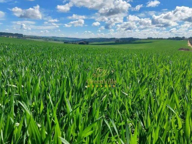 Fazenda venda em Porto Amazonas, Região Geográfica Intermediária de Ponta Grossa
