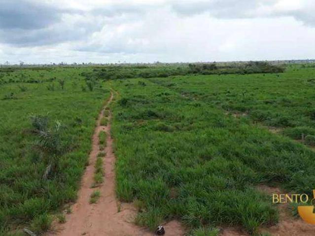 Fazenda venda em Comunidade Novo Paraná, Porto dos Gaúchos