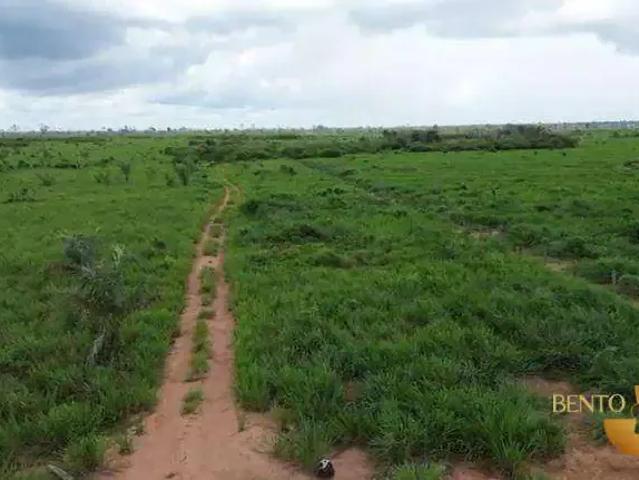 Fazenda venda em Região Geográfica Imediata de Cuiabá, Região Metropolitana do Vale do Rio Cuiabá
