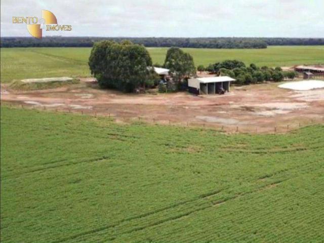 Fazenda venda em Comunidade Novo Paraná, Porto dos Gaúchos