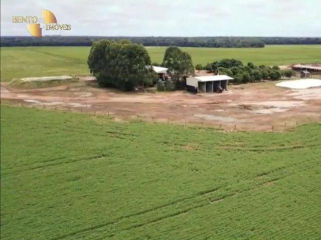 Fazenda venda em Região Geográfica Imediata de Cuiabá, Região Metropolitana do Vale do Rio Cuiabá